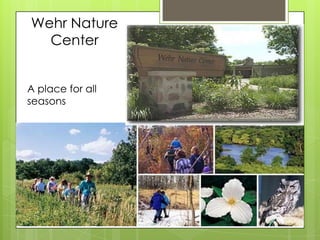 Wehr Nature
  Center


A place for all
seasons
 