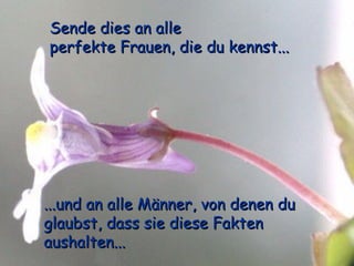 Sende dies an alle  perfekte Frauen, die du kennst... ...und an alle Männer, von denen du glaubst, dass sie diese Fakten aushalten... 