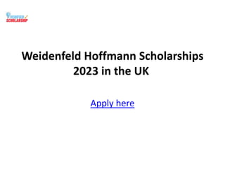 Weidenfeld Hoffmann Scholarships
2023 in the UK
Apply here
 