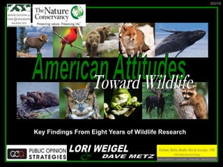 Key Findings From Eight Years of Wildlife Research
05218
&
 