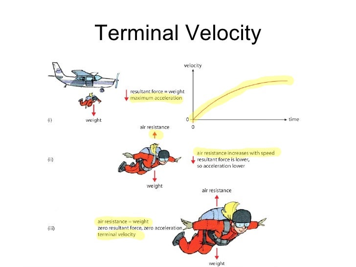 Weight And Terminal Velocity Weight And Terminal Velocity