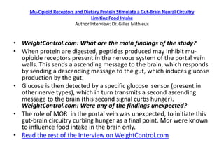 Mu-Opioid Receptors and Dietary Protein Stimulate a Gut-Brain Neural Circuitry
                                 Limiting Food Intake
                         Author Interview: Dr. Gilles Mithieux


• WeightControl.com: What are the main findings of the study?
• When protein are digested, peptides produced may inhibit mu-
  opioide receptors present in the nervous system of the portal vein
  walls. This sends a ascending message to the brain, which responds
  by sending a descending message to the gut, which induces glucose
  production by the gut.
• Glucose is then detected by a specific glucose sensor (present in
  other nerve types), which in turn transmits a second ascending
  message to the brain (this second signal curbs hunger).
  WeightControl.com: Were any of the findings unexpected?
• The role of MOR in the portal vein was unexpected, to initiate this
  gut-brain circuitry curbing hunger as a final point. Mor were known
  to influence food intake in the brain only.
• Read the rest of the Interview on WeightControl.com
 