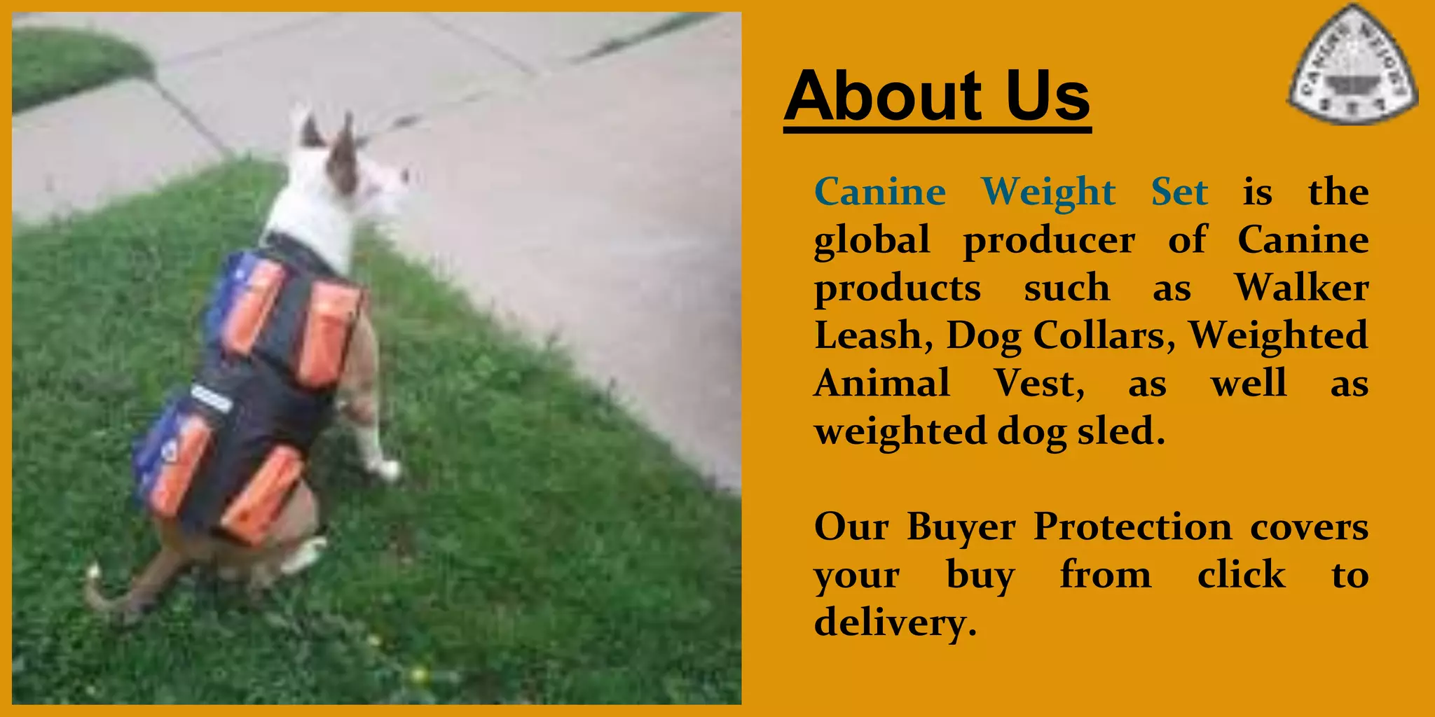 Weighted dog vest PPT