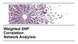 Weighted SNP
Correlation
Network Analyisis
 
