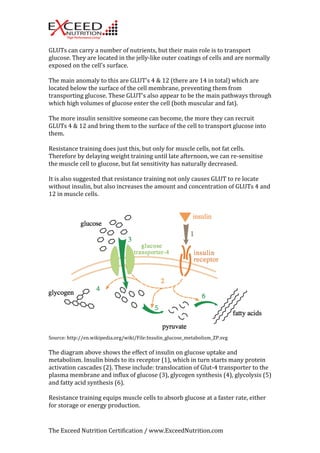 GLUTs 
can 
carry 
a 
number 
of 
nutrients, 
but 
their 
main 
role 
is 
to 
transport 
glucose. 
They 
are 
located 
in 
the 
jelly-­‐like 
outer 
coatings 
of 
cells 
and 
are 
normally 
exposed 
on 
the 
cell’s 
surface. 
The 
main 
anomaly 
to 
this 
are 
GLUT’s 
4 
& 
12 
(there 
are 
14 
in 
total) 
which 
are 
located 
below 
the 
surface 
of 
the 
cell 
membrane, 
preventing 
them 
from 
transporting 
glucose. 
These 
GLUT’s 
also 
appear 
to 
be 
the 
main 
pathways 
through 
which 
high 
volumes 
of 
glucose 
enter 
the 
cell 
(both 
muscular 
and 
fat). 
The 
more 
insulin 
sensitive 
someone 
can 
become, 
the 
more 
they 
can 
recruit 
GLUTs 
4 
& 
12 
and 
bring 
them 
to 
the 
surface 
of 
the 
cell 
to 
transport 
glucose 
into 
them. 
Resistance 
training 
does 
just 
this, 
but 
only 
for 
muscle 
cells, 
not 
fat 
cells. 
Therefore 
by 
delaying 
weight 
training 
until 
late 
afternoon, 
we 
can 
re-­‐sensitise 
the 
muscle 
cell 
to 
glucose, 
but 
fat 
sensitivity 
has 
naturally 
decreased. 
It 
is 
also 
suggested 
that 
resistance 
training 
not 
only 
causes 
GLUT 
to 
re 
locate 
without 
insulin, 
but 
also 
increases 
the 
amount 
and 
concentration 
of 
GLUTs 
4 
and 
12 
in 
muscle 
cells. 
Source: 
http://en.wikipedia.org/wiki/File:Insulin_glucose_metabolism_ZP.svg 
The 
diagram 
above 
shows 
the 
effect 
of 
insulin 
on 
glucose 
uptake 
and 
metabolism. 
Insulin 
binds 
to 
its 
receptor 
(1), 
which 
in 
turn 
starts 
many 
protein 
activation 
cascades 
(2). 
These 
include: 
translocation 
of 
Glut-­‐4 
transporter 
to 
the 
plasma 
membrane 
and 
influx 
of 
glucose 
(3), 
glycogen 
synthesis 
(4), 
glycolysis 
(5) 
and 
fatty 
acid 
synthesis 
(6). 
Resistance 
training 
equips 
muscle 
cells 
to 
absorb 
glucose 
at 
a 
faster 
rate, 
either 
for 
storage 
or 
energy 
production. 
The 
Exceed 
Nutrition 
Certification 
/ 
www.ExceedNutrition.com 
 