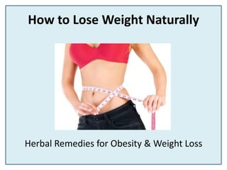 How to Lose Weight Naturally
Herbal Remedies for Obesity & Weight Loss
 