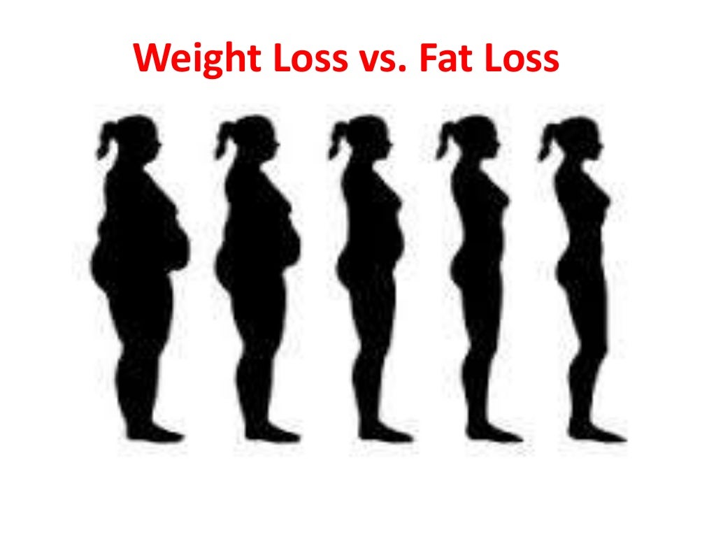 Weight loss vs fat loss, choosing the best fat loss program. Focus on…