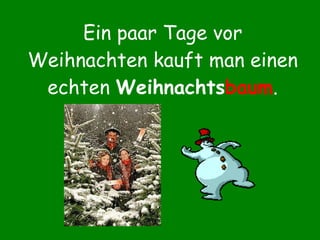 Ein paar Tage vor Weihnachten kauft man einen echten  Weihnachts baum . 