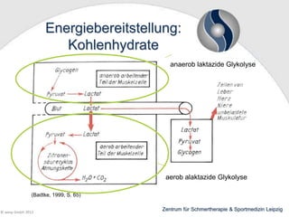 Energiebereitstellung:
Kohlenhydrate
anaerob laktazide Glykolyse

aerob alaktazide Glykolyse
(Badtke, 1999, S. 65)
© wesp GmbH 2013

Zentrum für Schmertherapie & Sportmedizin Leipzig

 