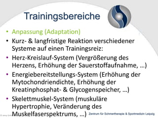 Trainingsbereiche
• Anpassung (Adaptation)
• Kurz- & langfristige Reaktion verschiedener
Systeme auf einen Trainingsreiz:
• Herz-Kreislauf-System (Vergrößerung des
Herzens, Erhöhung der Sauerstoffaufnahme, …)
• Energiebereitstellungs-System (Erhöhung der
Mytochondriendichte, Erhöhung der
Kreatinphosphat- & Glycogenspeicher, …)
• Skelettmuskel-System (muskuläre
Hypertrophie, Veränderung des
Muskelfaserspektrums, …) Zentrum für Schmertherapie & Sportmedizin Leipzig

© wesp GmbH 2013

 
