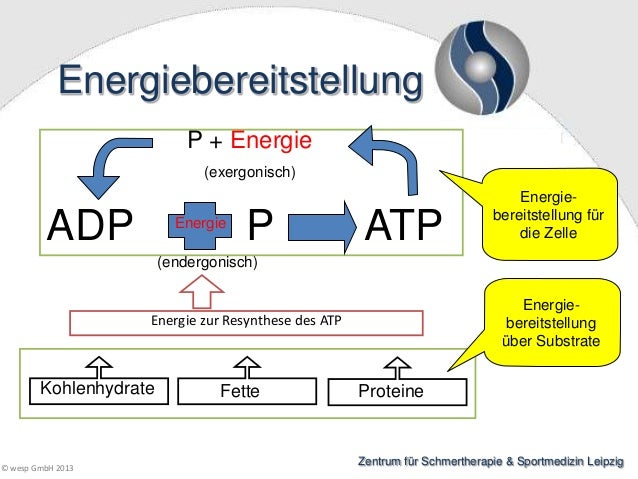 Aerob Und Anaerob Energiegewinnung Weihrauch mueller studie_individuelle_schwellen_hrv
