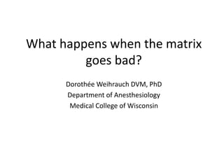 What happens when the matrix
goes bad?
Dorothée Weihrauch DVM, PhD
Department of Anesthesiology
Medical College of Wisconsin
 