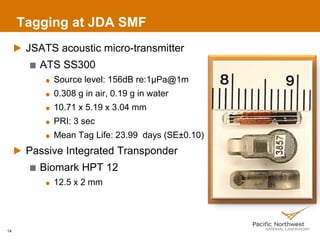Tagging at JDA SMF
JSATS acoustic micro-transmitter
ATS SS300
Source level: 156dB re:1µPa@1m
0.308 g in air, 0.19 g in water
10.71 x 5.19 x 3.04 mm
PRI: 3 sec
Mean Tag Life: 23.99 days (SE±0.10)
Passive Integrated Transponder
Biomark HPT 12
12.5 x 2 mm
14
 