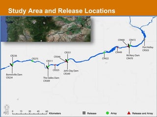 Study Area and Release Locations
21
 