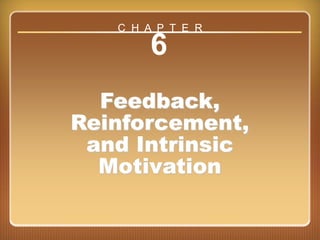Chapter 6: Feedback, Reinforcement, and Intrinsic Motivation
6
Feedback,
Reinforcement,
and Intrinsic
Motivation
C H A P T E R
 