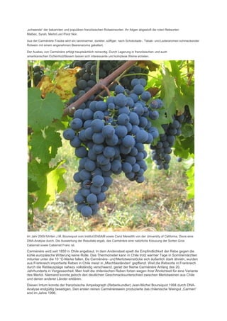 „schwerste“ der bekannten und populären französischen Rotweinsorten. Ihr folgen abgestuft die roten Rebsorten
Malbec, Syrah, Merlot und Pinot Noir.

Aus der Carménère-Traube wird ein tanninarmer, dunkler, süffiger, nach Schokolade-, Tabak- und Lederaromen schmeckender
Rotwein mit einem angenehmen Beerenaroma gekeltert.

Der Ausbau von Carménère erfolgt hauptsächlich reinsortig. Durch Lagerung in französischen und auch
amerikanischen Eichenholzfässern lassen sich interessante und komplexe Weine erzielen.




Im Jahr 2009 führten J.M. Boursiquot vom Institut ENSAM sowie Carol Meredith von der University of California, Davis eine
DNA-Analyse durch. Die Auswertung der Resultate ergab, das Carménère eine natürliche Kreuzung der Sorten Gros
Cabernet sowie Cabernet Franc ist.

Carménère wird seit 1850 in Chile angebaut. In dem Andenstaat spielt die Empfindlichkeit der Rebe gegen die
kühle europäische Witterung keine Rolle. Das Thermometer kann in Chile trotz warmer Tage in Sommernächten
mitunter unter die 10 °C-Marke fallen. Da Carménère- und Merlotweinstöcke sich äußerlich stark ähneln, wurden
aus Frankreich importierte Reben in Chile meist in „Mischbeständen“ gepflanzt. Weil die Rebsorte in Frankreich
durch die Reblausplage nahezu vollständig verschwand, geriet der Name Carménère Anfang des 20.
Jahrhunderts in Vergessenheit. Man hielt die chilenischen Reben fortan wegen ihrer Ähnlichkeit für eine Variante
des Merlot. Niemand konnte jedoch den deutlichen Geschmacksunterschied zwischen Merlotweinen aus Chile
und denen anderer Länder erklären.
Diesen Irrtum konnte der französische Ampelograph (Rebenkundler) Jean-Michel Boursiquot 1994 durch DNA-
Analyse endgültig beseitigen. Den ersten reinen Carménèrewein produzierte das chilenische Weingut „Carmen“
erst im Jahre 1996.
 