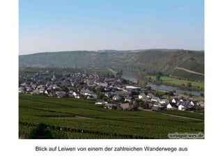 Blick auf Leiwen von einem der zahlreichen Wanderwege aus
 