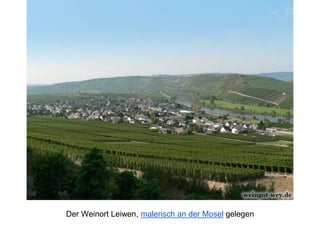 Der Weinort Leiwen, malerisch an der Mosel gelegen
 