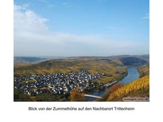 Blick von der Zummethöhe auf den Nachbarort Trittenheim
 