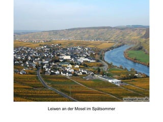 Leiwen an der Mosel im Spätsommer
 