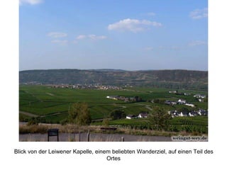 Blick von der Leiwener Kapelle, einem beliebten Wanderziel, auf einen Teil des
Ortes
 
