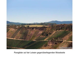 Paraglider auf der Leiwen gegenüberliegenden Moselseite
 