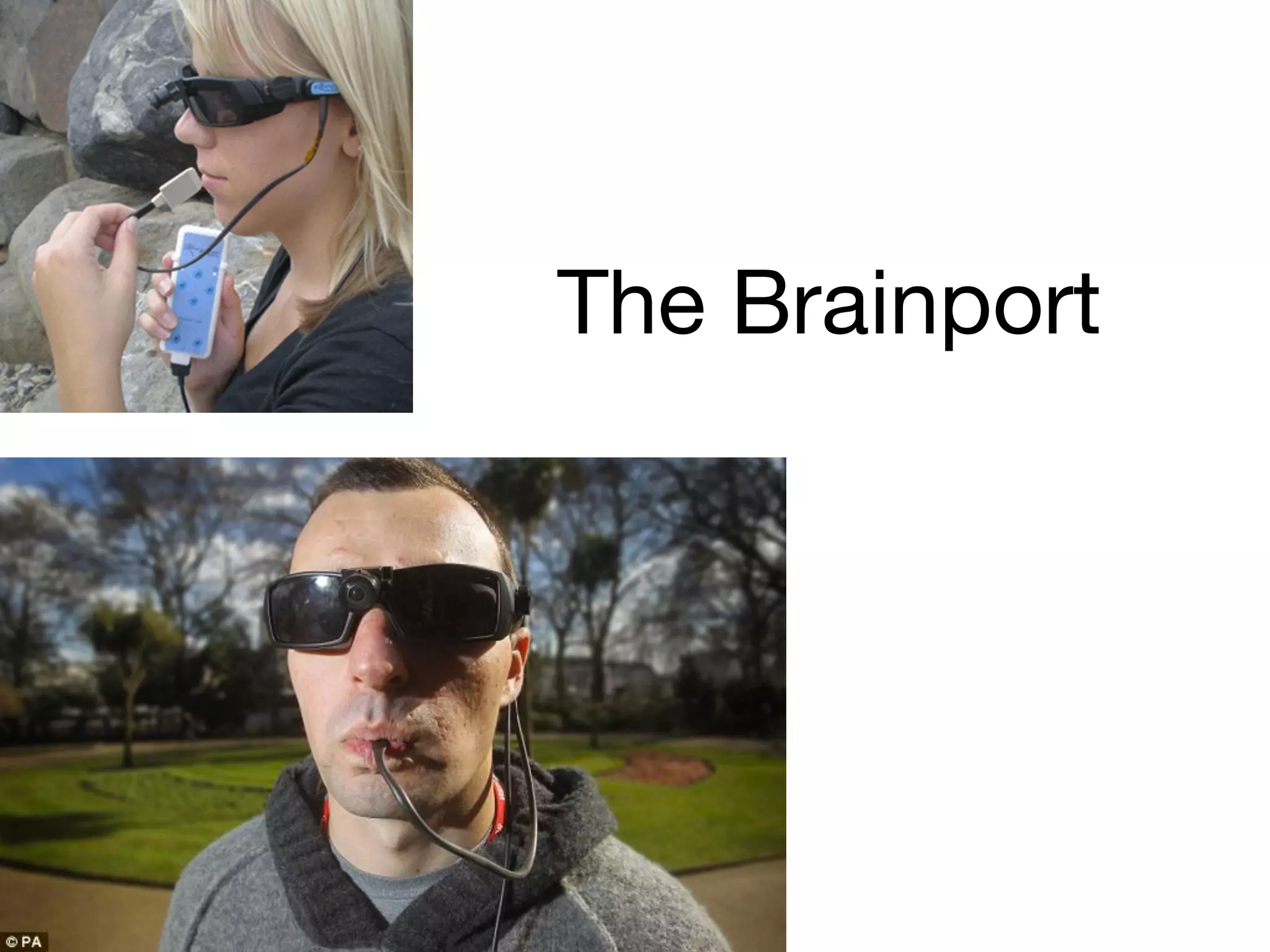 The Brainport