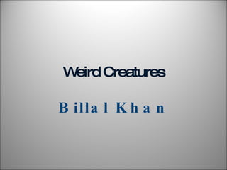 Weird   Creatures Billal Khan 