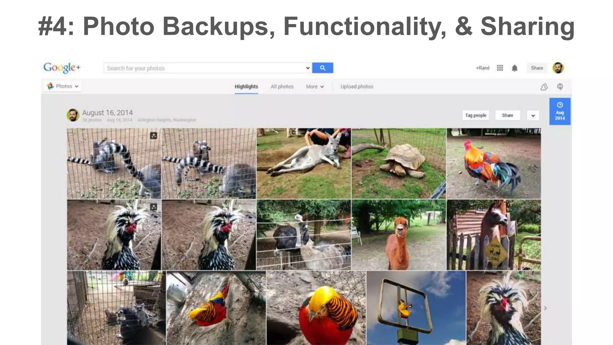 #4: Photo Backups, Functionality, & Sharing 
 