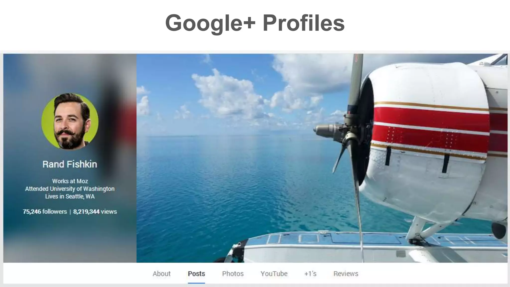 Google+ Profiles 
 