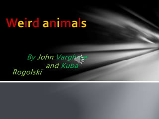 By John Varghese
and Kuba
Rogolski
Weird animals
 