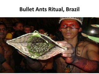 Weird Cultural Rituals | PPTX