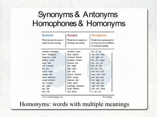 Synonyms & Antonyms
Homophones & Homonyms
Homonyms: words with multiple meanings
 
