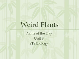 Weird Plants Plants of the Day Unit 8 STS Biology 