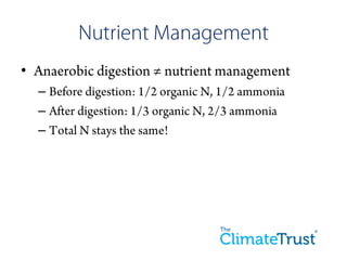 •
    –
    –
    –
 