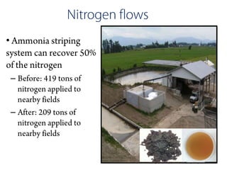 •


    –


    –
 