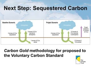 Next Step: Sequestered Carbon
Carbon Gold methodology for proposed to
the Voluntary Carbon Standard
 