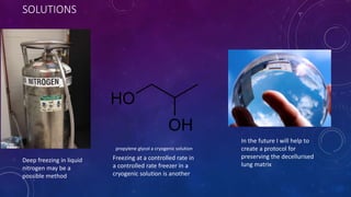 SOLUTIONS
Freezing at a controlled rate in
a controlled rate freezer in a
cryogenic solution is another
In the future I will help to
create a protocol for
preserving the decellurised
lung matrix
Deep freezing in liquid
nitrogen may be a
possible method
propylene glycol a cryogenic solution
 