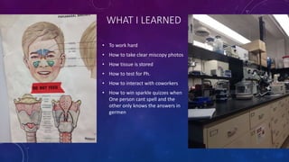 WHAT I LEARNED
• To work hard
• How to take clear miscopy photos
• How tissue is stored
• How to test for Ph.
• How to interact with coworkers
• How to win sparkle quizzes when
One person cant spell and the
other only knows the answers in
germen
 
