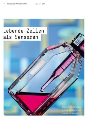 54 - BIOLOGISCHE TRANSFORMATION weiter.vorn 1.19
Lebende Zellen
als Sensoren
Zellbasierte Sensoren bestehen aus
biologischen und physikalischen Kom-
ponenten. Ein Elektroden-Layout wird
mit lebenden Zellen beschichtet, die in
sterilen Kulturflaschen heranwachsen.
© Fraunhofer EMFT / Bernd Müller
 
