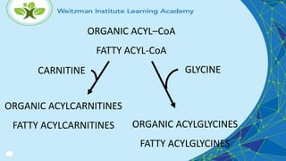 ORGANIC ACYL–CoA
FATTY ACYL-CoA
CARNITINE
ORGANIC ACYLCARNITINES
FATTY ACYLCARNITINES
GLYCINE
ORGANIC ACYLGLYCINES
FATTY ACYLGLYCINES
 