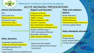 ACUTE NEONATAL PRESENTATIONS
Propionic acidemia
Methylmalonic acidemia
(MMA, mutase)
MMA (cobalamin A+B)
Isovaleric acidemia
Beta-ketothiolase deficiency
Holocarboxylase synthetase def’y
Glutaric acidemia type I
3-MC carboxylase deficiency
Biotinidase deficiency
HMG CoA lyase deficiency
Amino acid disorders Organic acid disorders
PKU
Homocystinuria
Maple syrup urine disease
Tyrosinemia type I
Citrullinemia type I
Argininosuccinic aciduria
MCAD deficiency
VLCAD deficiency
LCHAD deficiency
Trifunctional protein deficiency
Carnitine uptake defect
Congenital hypothyroidism
Congenital adrenal hyperplasia
Hemoglobinopathies (3)
Cystic fibrosis
Severe combined immunodeficiencies
Spinal muscular atrophy
Critical congenital heart disease
Hearing loss
Other disorders
Fatty acid oxidation
defects
Galactosemia
Pompe disease
Hurler disease (MPS I)
X-linked adrenoleukodystrophy
Other Metabolic disorders
 