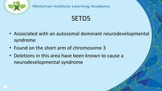 Setd5 Disorder Pediatric Genetics & Genomics | PPTX