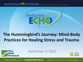 The Hummingbird’s Journey: Mind-Body
Practices for Healing Stress and Trauma
November 4, 2020
 