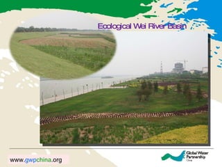 Ecological Wei River Basin 