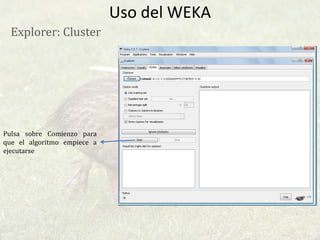 JRip: Construye reglas con el algoritmo RIPPER.
