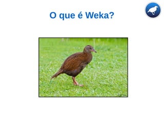 O que é Weka?
 