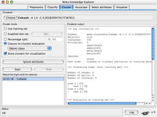 8/3/2022 University of Waikato 100
 