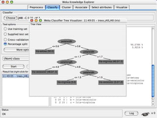 8/3/2022 University of Waikato 53
 