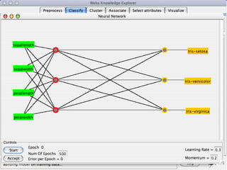 8/3/2022 University of Waikato 61
 